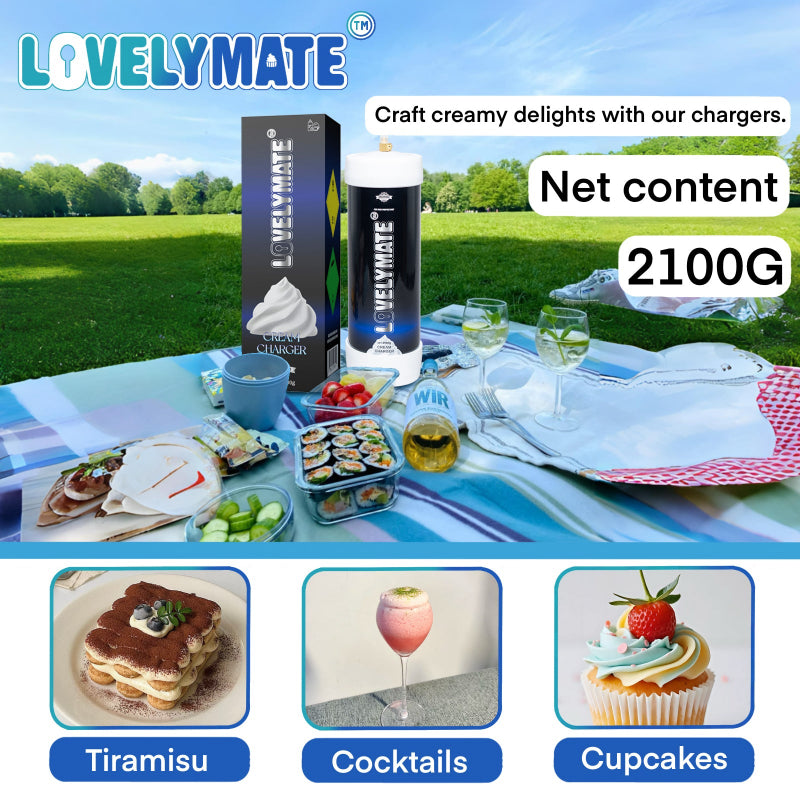 2100g cream charger for desserts